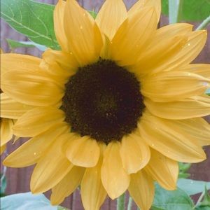 Meet your Posher, Jazmin